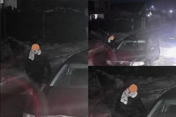 video autoturisme fortate in miez de noapte la valu lui traian acuza un localnic unui vecin i a rascolit prin masina 69693e39f0187