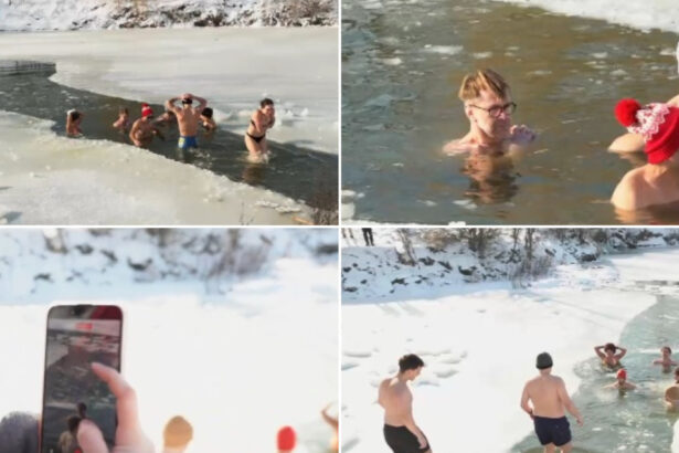 video baie la copca la 7 celsius minute in sir mai multi tineri din timis au acceptat provocarea la un moment dat ti se pare calda 6965e62cc9fd2