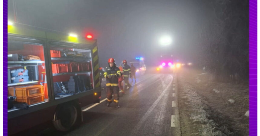 video carambol cu patru masini pe o sosea din arad un mort si un ranit transportat la spital 696ca45aabcc5