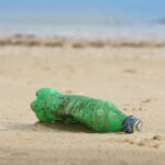 video cercetatorii avertizeaza peste cu microplastic pe masa romanilor marea neagra poluata masiv 6968b393103b6