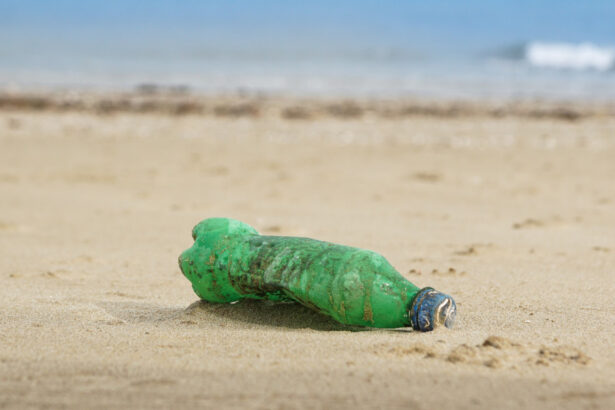 video cercetatorii avertizeaza peste cu microplastic pe masa romanilor marea neagra poluata masiv 6968b393103b6