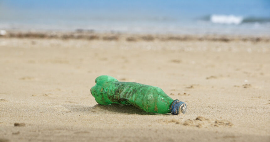 video cercetatorii avertizeaza peste cu microplastic pe masa romanilor marea neagra poluata masiv 6968b393103b6