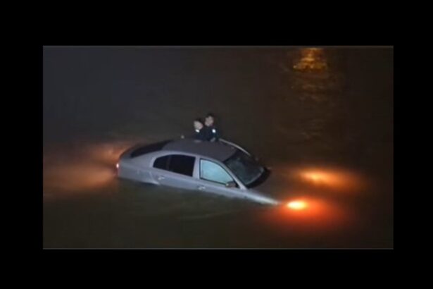 video doi politisti au sarit in rau pentru a salva o soferita ce plonjase cu masina in apele reci ce spune sindicatul europol 695f575adbb10