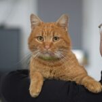 video garfield coechipierul de la polaris care nu lipseste de la nicio misiune 697cb749144a0