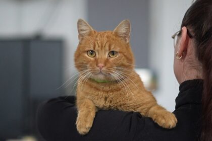 video garfield coechipierul de la polaris care nu lipseste de la nicio misiune 697cb749144a0