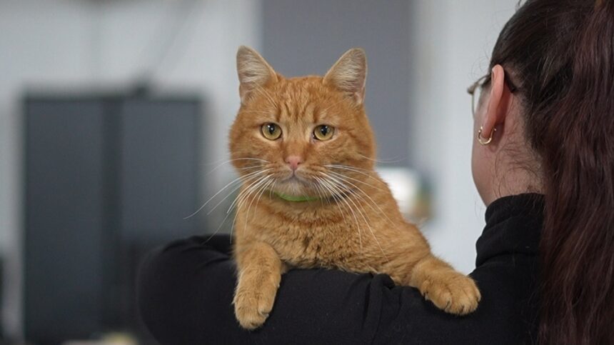 video garfield coechipierul de la polaris care nu lipseste de la nicio misiune 697cb749144a0