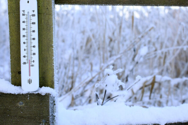video gerul revine in romania anm anunta lapovita polei si vant cod galben in nordul si estul moldovei cand va dura episodul de vreme rea 6969efe3b1daf