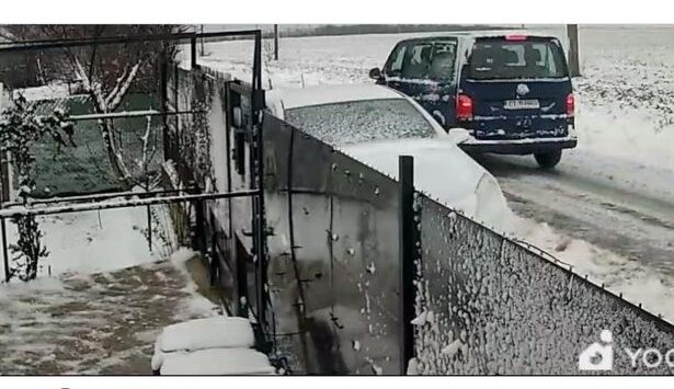 video imagini scandaloase la 23 august un individ a oprit masina si a lasat cainele in camp apoi a plecat 6960c14973362