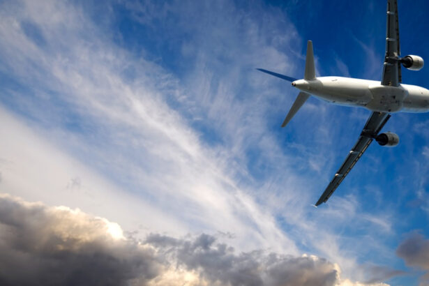 video incidente aviatice pe aeroportul din cluj napoca solutia gasita de piloti dupa ce avionul a lovit la aterizare un stol de pasari 695bf15a9cbc0