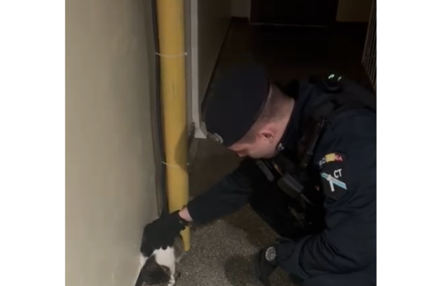 video incredibil jandarmi chemati sa scoata o pisica dintr o scara de bloc din constanta 69777f8623311