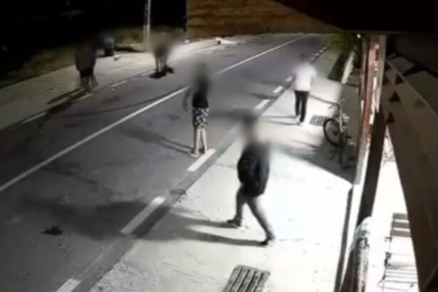 video judecatoria medgidia o noua decizie in cazul accidentului din satul razoarele comuna oltina 6967c96862100