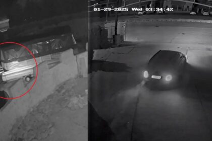 video mega dosar indivizii care au furat motorul unui catamaran de la restaurantul la scoica au dat si alte bufuri lista pagubitilor cuprinde numai nume cunoscute 6979529f775a4