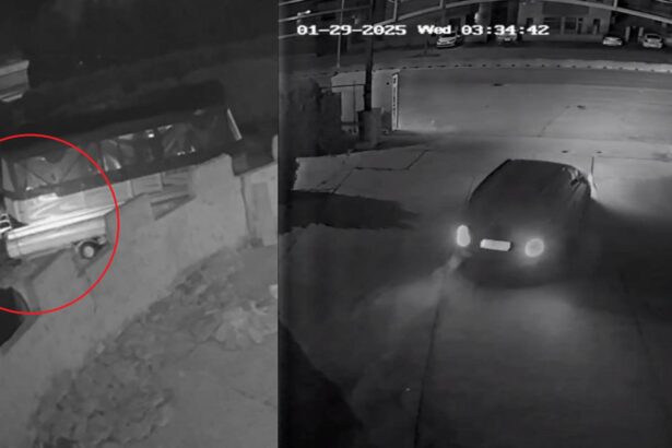 video mega dosar indivizii care au furat motorul unui catamaran de la restaurantul la scoica au dat si alte bufuri lista pagubitilor cuprinde numai nume cunoscute 6979529f775a4