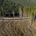 video padurile romaniei distruse sistematic comorova perla verde a litoralului pe jumatate pierduta taieri ilegale si in prahova 697cab1b7b704