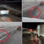 video puneti va cate o roata de rezerva in plus ca aveti nevoie cum arata drumurile din tara dupa ninsorile din ultimele zile 6961e01b7da38