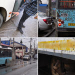 video revolta printre soferii si vatmanii de la stb din cauza scandalului politic din cgmb cand au furat ne au intrebat pe noi 697cae9862df8