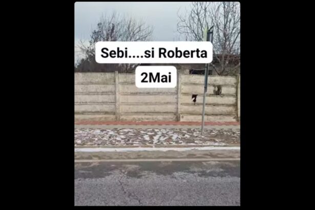 video s au finalizat lucrarile la trotuarul unde au murit sebi si roberta valentin olariu vom construi o troita care sa aminteasca de accidentul in care vlad pascu ne a omorat copiii 696de98ebf744