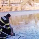 video un nepalez a sarit primul in lacul inghetat intr un parc din craiova pentru a salva o fetita de 5 ani 696c964aeaeb7