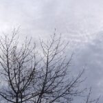 vremea in dobrogea va fi deosebit de calda pentru inceputul lunii ianuarie vezi cand se raceste 695ccce3c14ba