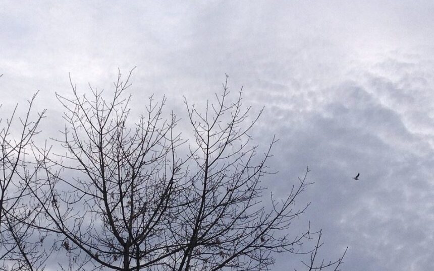 vremea in dobrogea va fi deosebit de calda pentru inceputul lunii ianuarie vezi cand se raceste 695ccce3c14ba