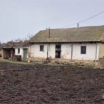 a fost arestata si mama copilului din judetul tulcea ucis in bataie este suspecta de omor calificat savarsit prin cruzimi 699498e851865