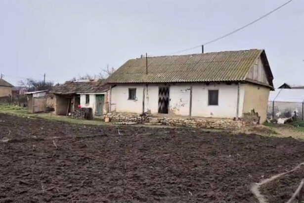 a fost arestata si mama copilului din judetul tulcea ucis in bataie este suspecta de omor calificat savarsit prin cruzimi 699498e851865