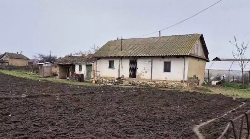 a fost arestata si mama copilului din judetul tulcea ucis in bataie este suspecta de omor calificat savarsit prin cruzimi 699498e851865