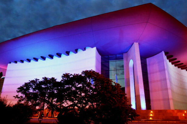 actorii tnb protesteaza fata de un proiect al ministerului culturii privind organizarea timpului de munca ucide creativitatea 69899e5067119