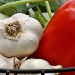 adaptarea la schimbarile de anotimp prin odihna si alimentatie 69922295cc277