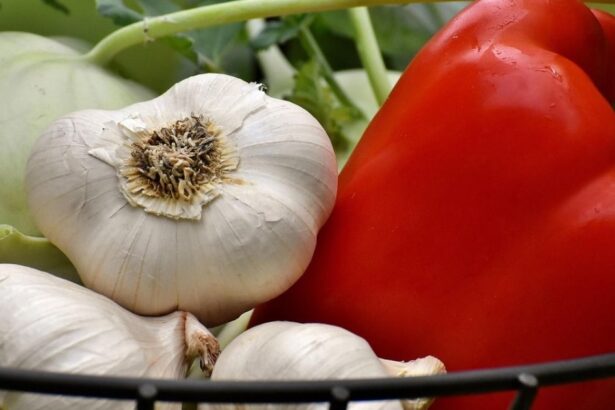 adaptarea la schimbarile de anotimp prin odihna si alimentatie 69922295cc277