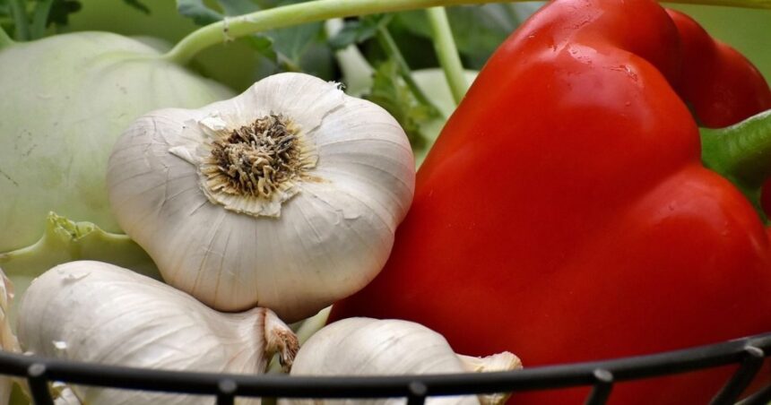 adaptarea la schimbarile de anotimp prin odihna si alimentatie 69922295cc277