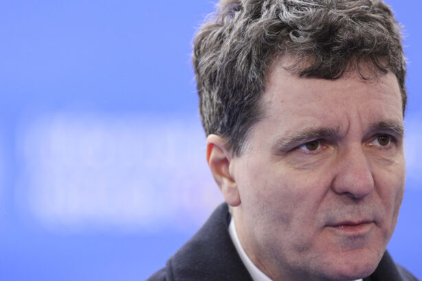 aep a sesizat parchetul general cu privire la finantarea campaniei electorale a presedintelui nicusor dan 69a163f21cafb