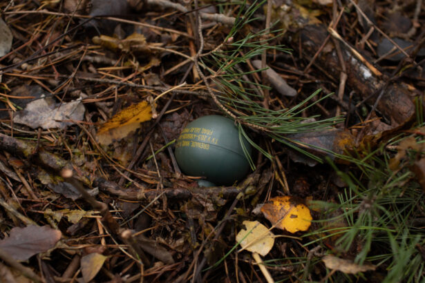 alerta in aiud dupa ce doua grenade defensive au fost descoperite pe un drum public 698896a5753b2