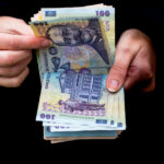 alocatiile indemnizatiile si stimulentul de insertie vor fi virate mai devreme in februarie anuntul anpis despre platile anticipate 6981ae4ae36e6