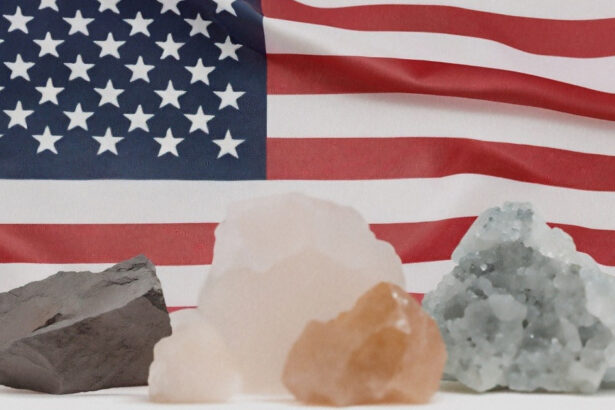 ambasada romaniei in sua anunt despre parteneriatul cheie privind mineralele critice ce teme a abordat oana toiu la washington 6984d35d8c733