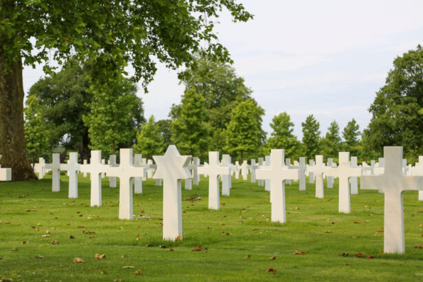 analiza riscam un al treilea razboi mondial si totusi alegatorii sunt putin dispusi sa faca compromisuri pentru securitatea militara 699020bacb5cb