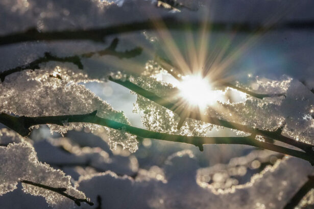 anm urmeaza o luna mai calda decat normalul perioadei dar cu un episod de ninsoare la bucuresti in aceste zile 699814547b7e5