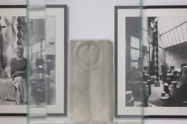 anul constantin brancusi 19 februarie romania sarbatoreste 150 de ani de la nasterea geniului sculpturii moderne 69969c18d8af1