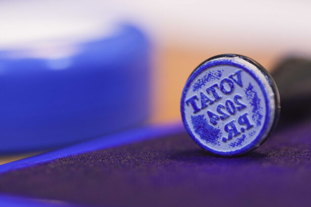 autoritatea electorala permanenta va accelera demersurile de verificare a persoanelor de peste 90 de ani inscrise pe listele de votare 6984ddeb0150a