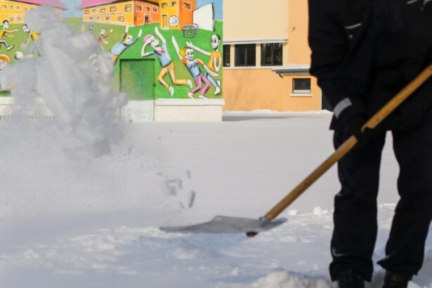 avertizare de ninsori si ploi in dobrogea a fost intrunit comitetul local pentru situatii de urgenta la constanta 699436835c430