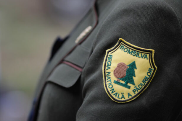 cand spera diana buzoianu sa fie adoptata reforma romsilva am ajuns intr un punct in care toate partidele suntem aliniate 698ee20476cce