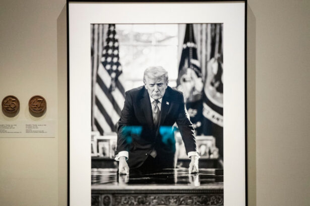 casa alba solicita un nou portret al lui trump si extinderea expozitiei americas presidents la smithsonian 699446731eec5