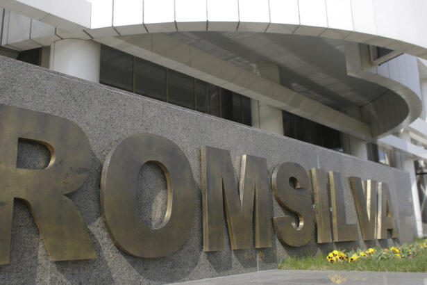 cine sunt cei opt candidati la sefia romsilva mesajul ministrului mediului 699760faab8fb