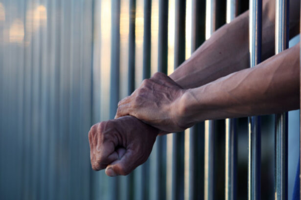 crima de la ciacova doi barbati trimisi in judecata pentru omor si incendierea victimei 699dc03d165f7