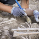 descoperire macabra in serbia 77 de femei si copii ucisi intr un masacru brutal si deliberat acum 2 800 de ani 69a2f4a690fcb