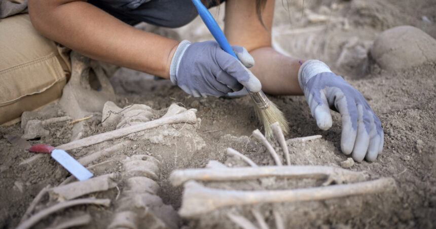 descoperire macabra in serbia 77 de femei si copii ucisi intr un masacru brutal si deliberat acum 2 800 de ani 69a2f4a690fcb