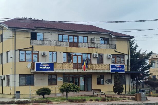 dispozitie a primarului din tuzla suspendata de judecatorii de la tribunalul constanta vezi aici minuta si despre ce este vorba 69a323fef1185