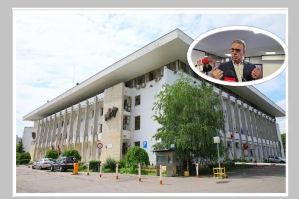 document primarul chitac a semnat dispozitia iata ce activitati vor presta persoanele asistate social din constanta in 2026 69941a629c7ab