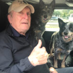 doliu la hollywood s a stins robert duvall cunoscut din seria nasul 69936a931486f