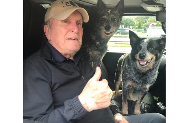 doliu la hollywood s a stins robert duvall cunoscut din seria nasul 69936a931486f